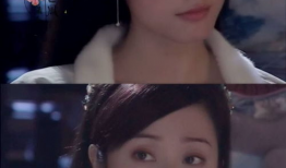 陈法蓉演的电视剧,穿越时空的传奇人生