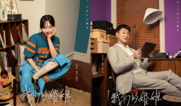 白百何佟大为 电视剧,情感纠葛下的都市爱情剧