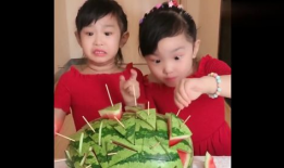 双胞胎姐妹吃瓜爆料,一场吃瓜爆料的狂欢